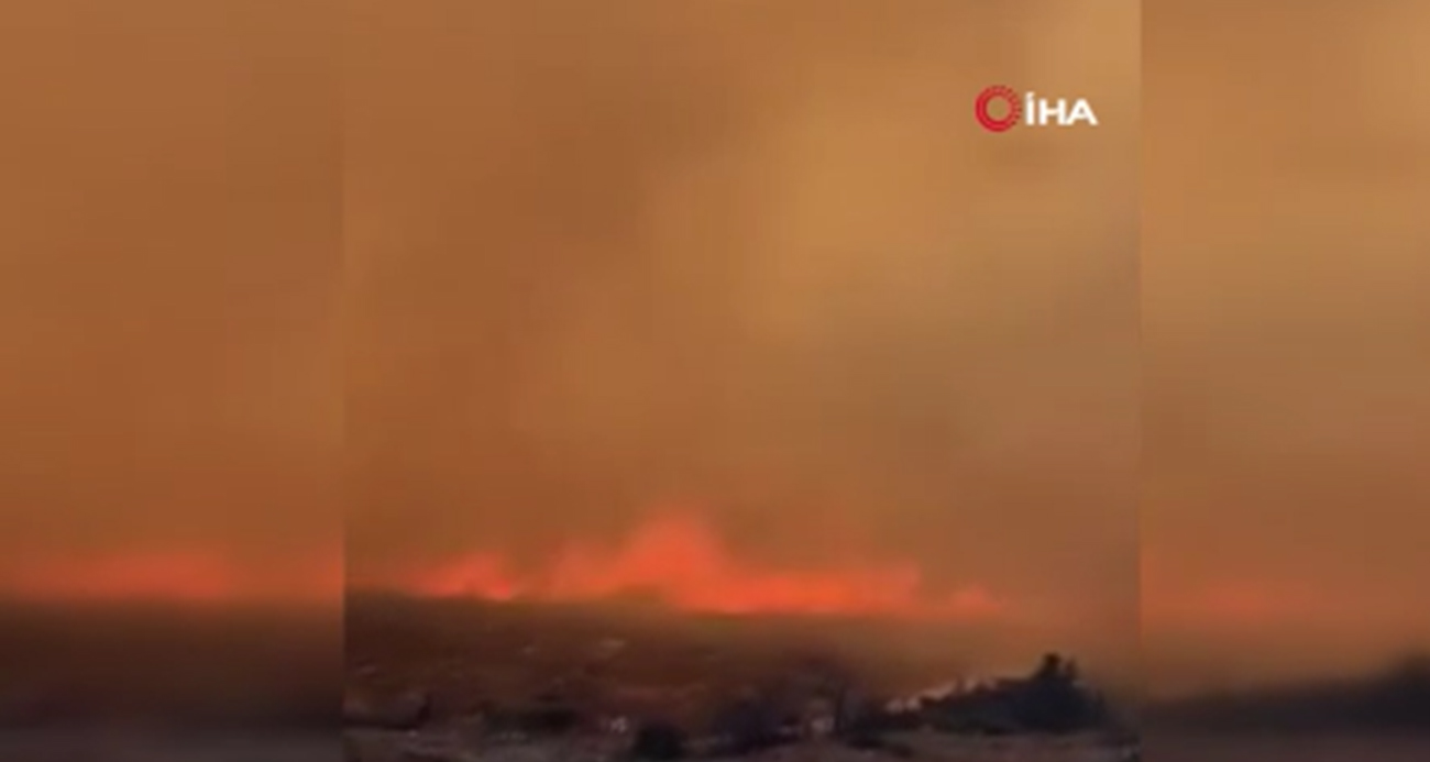 İzmir Çeşme'de orman yangını: 3 ölü