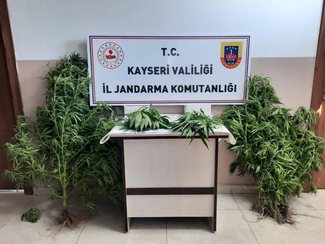 Jandarma Kayseri’de uyuşturucuya geçit vermiyor