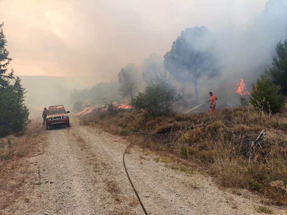 Çanakkale’de korkutan orman yangını: Kontrol altına alındı