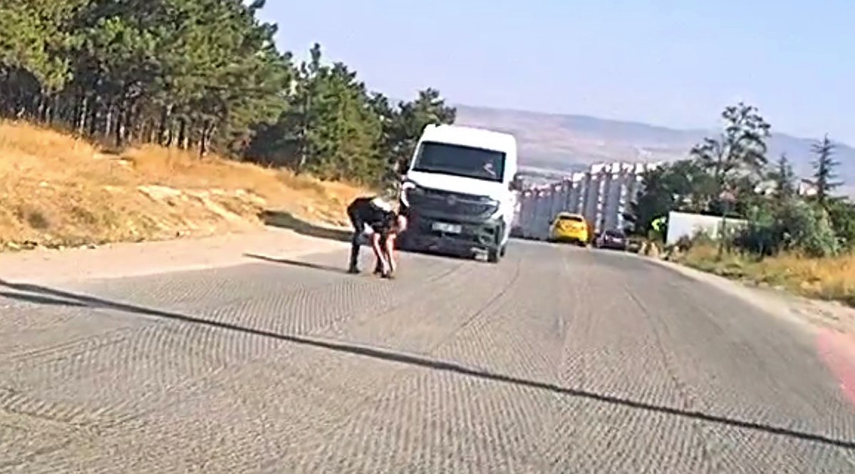 bir-yandan-kostu-bir-yandan-diger-suruculeri-uyardi-kaplumbagayi-ezilmekten-kurtardi