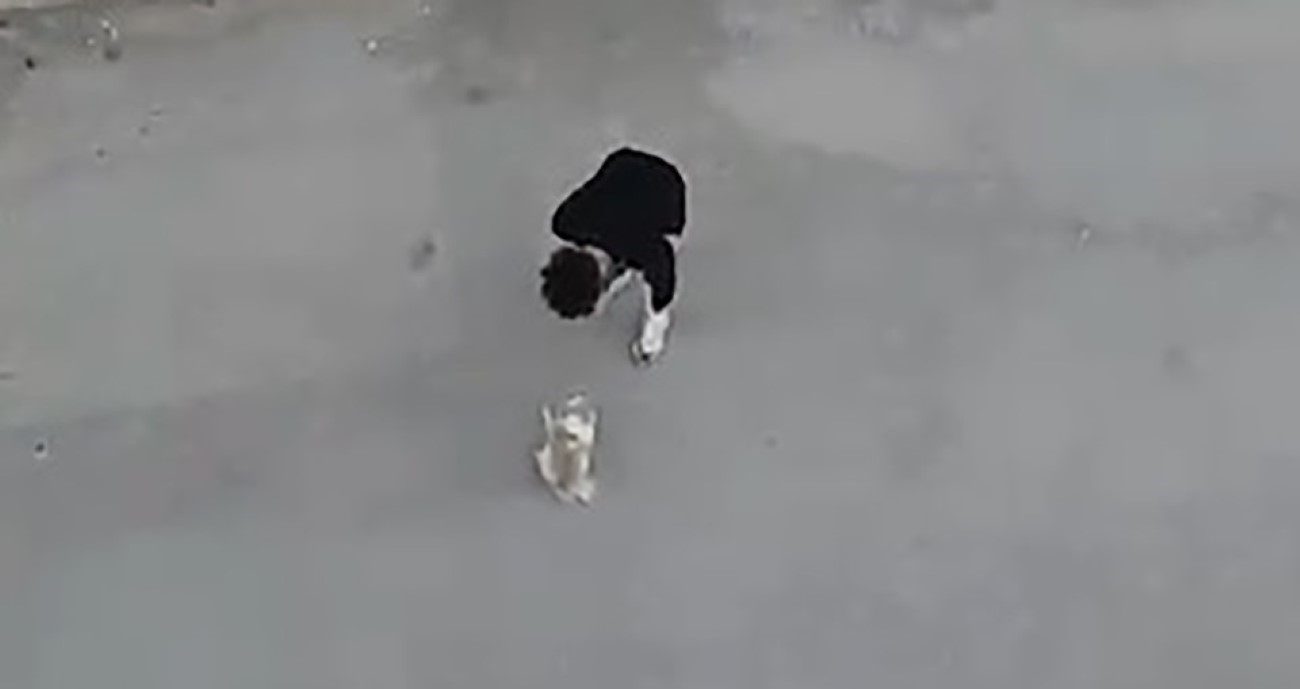 Köpeğine eziyet ettiği anları videoya çekenleri tehdit etti, tekrar gözaltına alındı