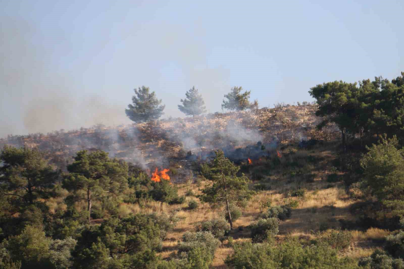 Hatay’daki orman yangınına havadan helikopterler ve uçakla müdahale ediliyor