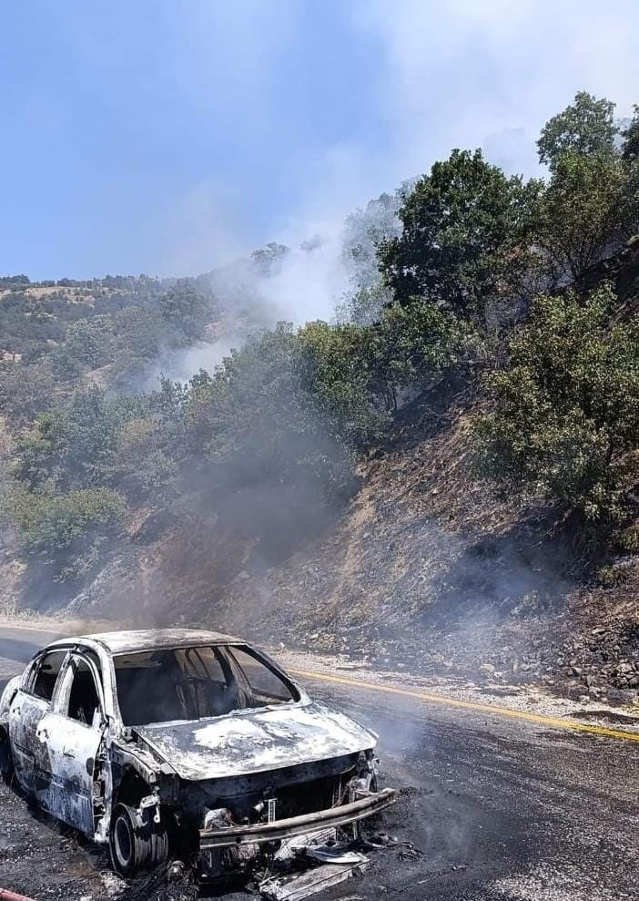 Otomobilden ormana sıçrayan yangın kontrol altına alındı