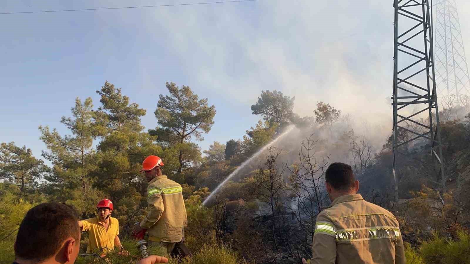 Muğla’daki orman yangını büyümeden kontrol altına alındı