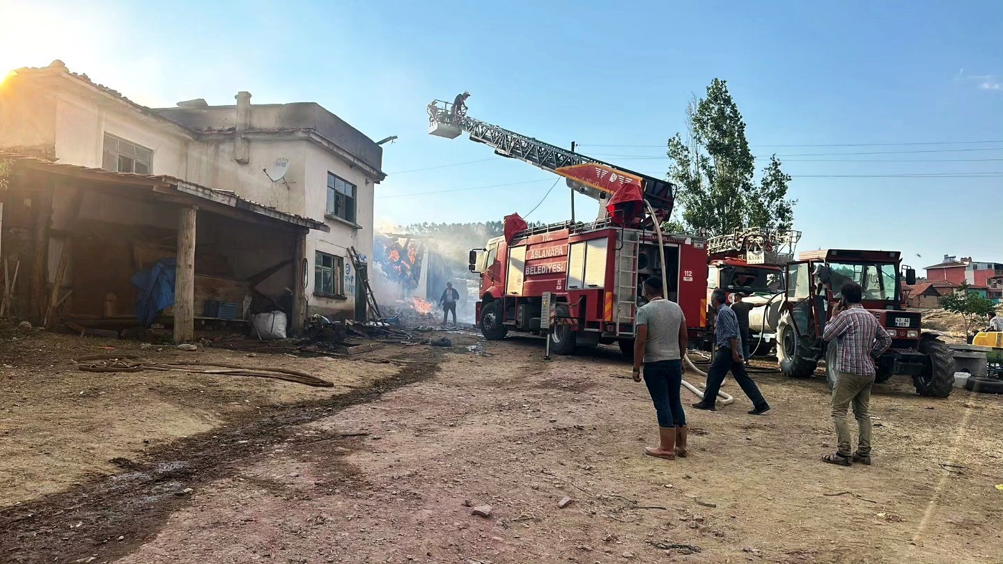 Aslanapa’da çıkan yangında 14 büyükbaş hayvan telef oldu