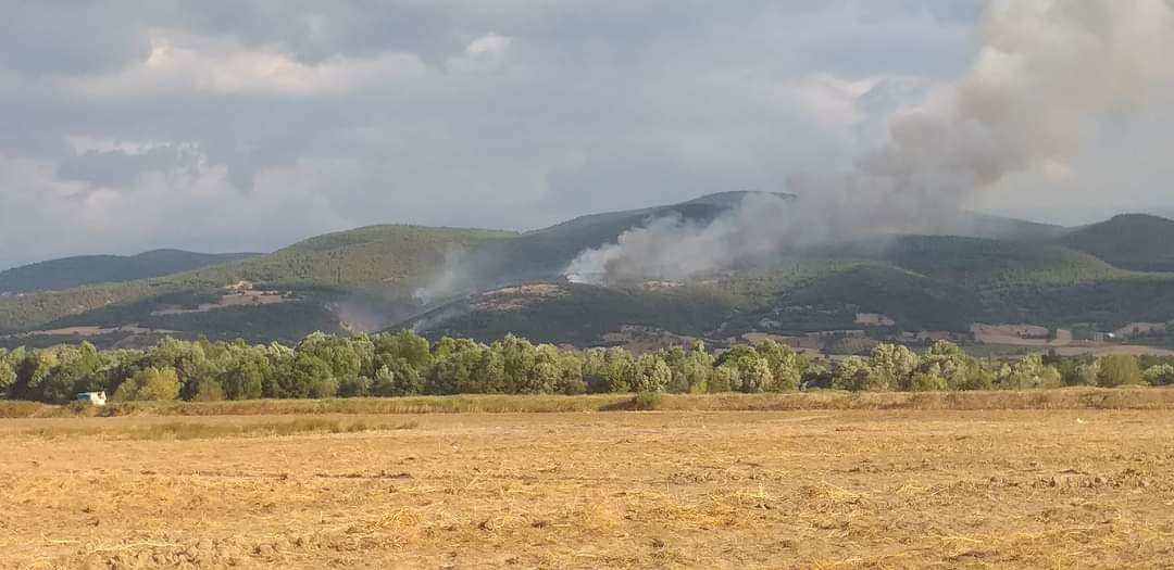 Tokat’ta 20 dönüm ormanlık alan kül oldu