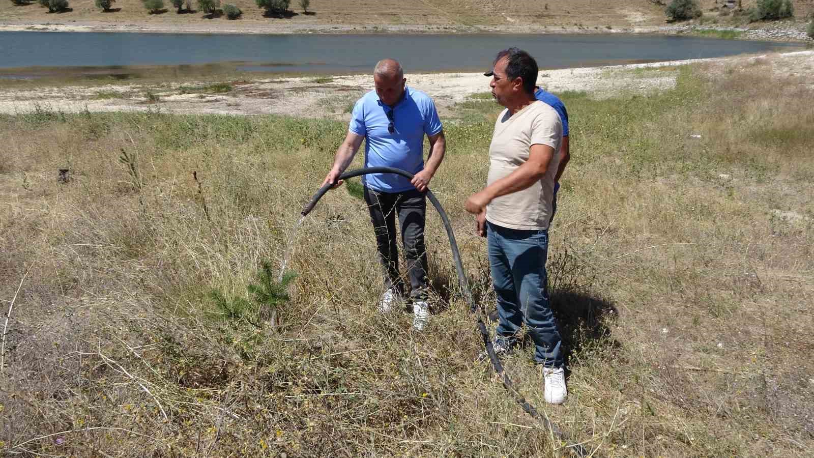 Gurbetçiler bozkırı yeşillendirdi