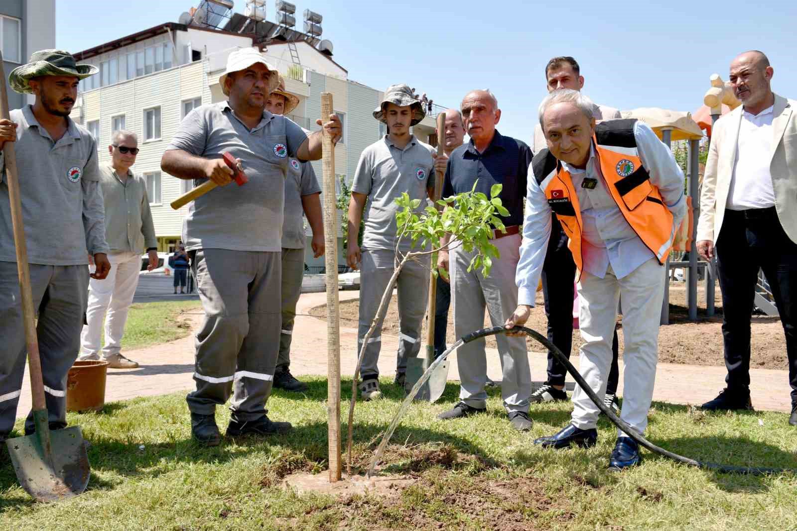 Yenilenen parka ilk ağaç fidanı Kocagöz’den