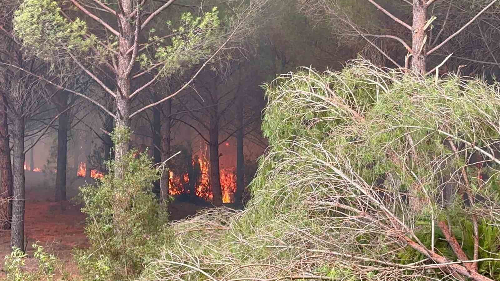 Alevler Muğla’ya dayandı