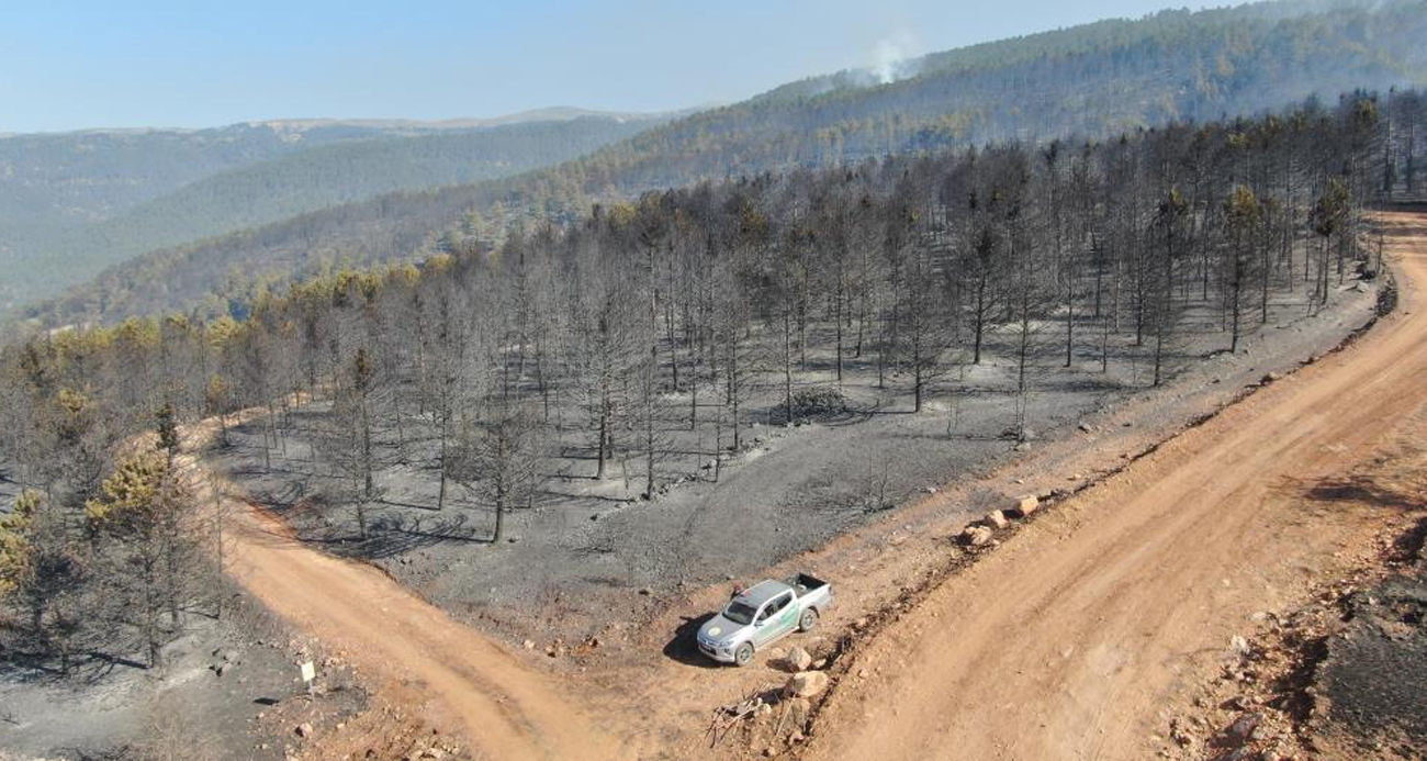 Yürek yakan manzara: Ormanlık alandaki tahribat havadan görüntülendi