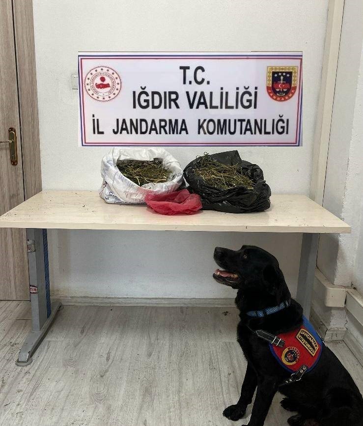 Iğdır’da 22,5 kilogram kubar esrar ele geçirildi