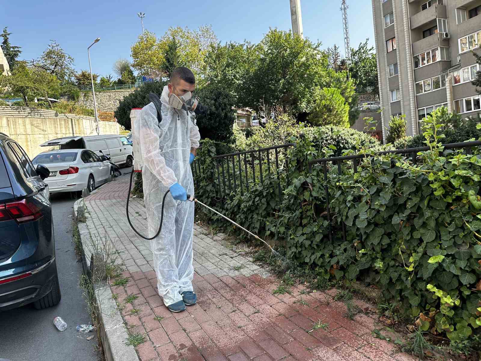 Kağıthane’de sinek ve haşerelere karşı tam zamanlı mücadele