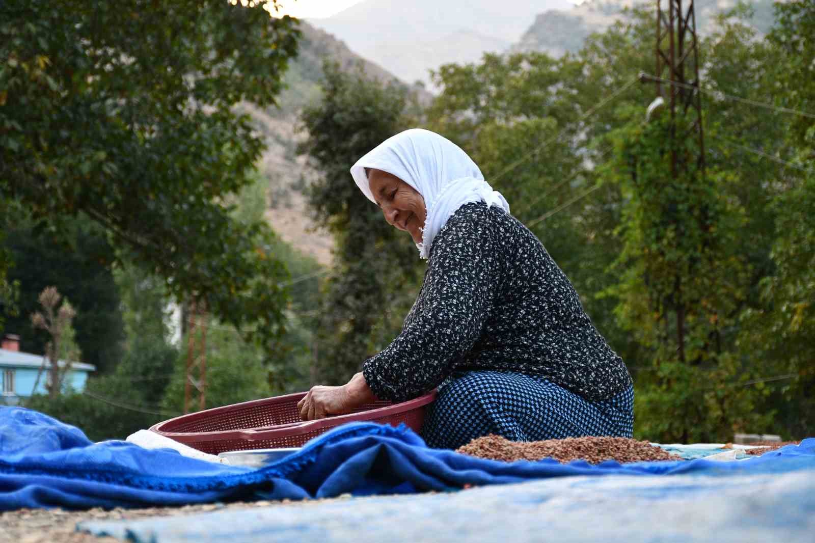 Şırnaklı aile sumak satarak geçimini sağlıyor