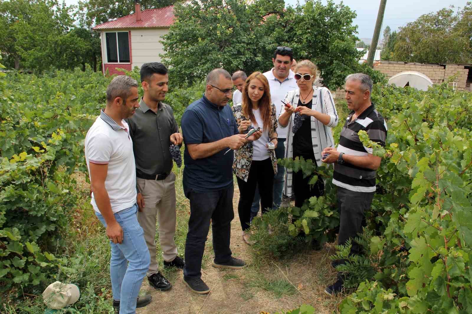 Başkan Süer: “Erciş üzümü kalitesini koruyor”