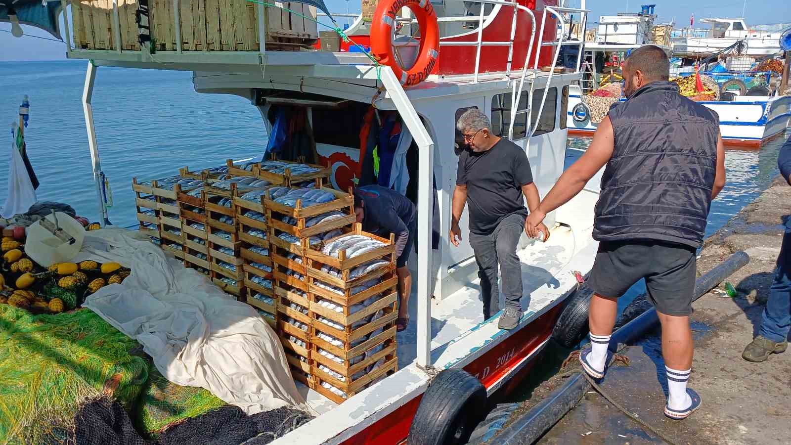 Batı Karadeniz’de avlanan 50 tekneden 10’u balıkla dönüyor