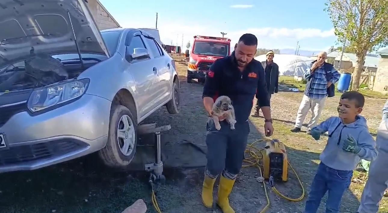 Ağrı’da araçta sıkışan yavru köpeği itfaiye ekibi kurtardı