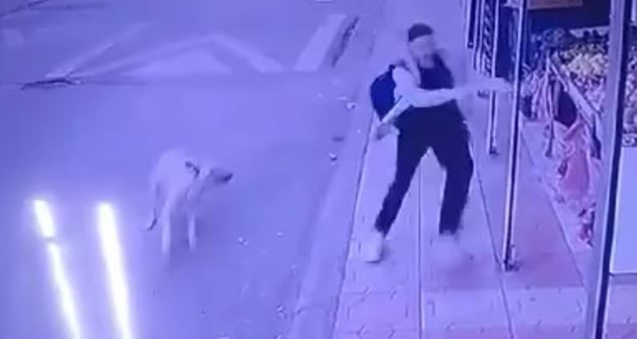 Başıboş sokak köpeğinden kaçtı düşüp markete sığınarak kurtuldu