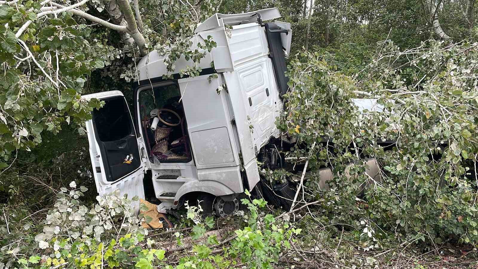 Anadolu Otoyolu’nda kontrolden çıkan tır, ağaca çarparak durabildi: 1 yaralı