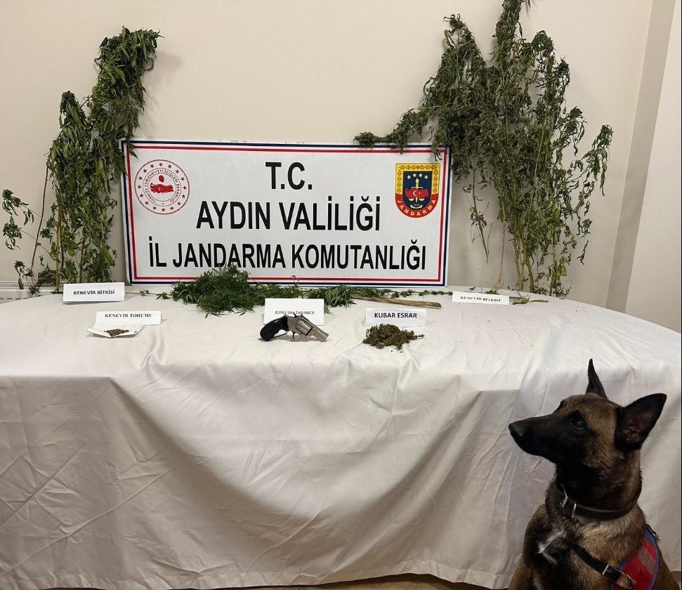 Koçarlı’da uyuşturucu baskını: 1 gözaltı