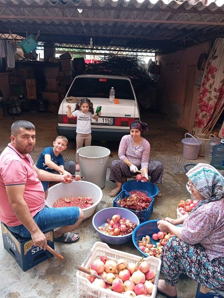 Sarıgöl’de evlerde nar ekşisi yapımına başlandı