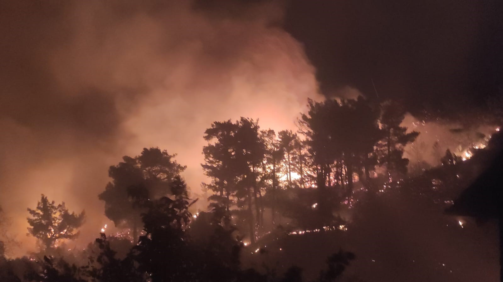 Muğla’da ikinci orman yangını