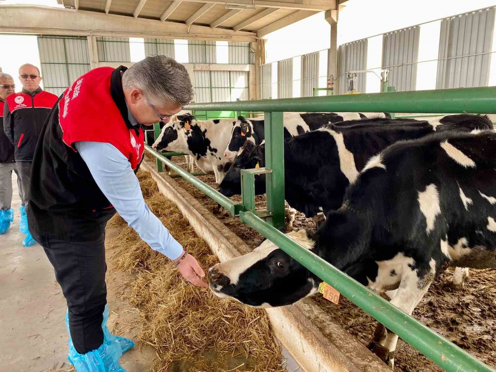 Balıkesir’de AB onaylı işletme sayısı artıyor