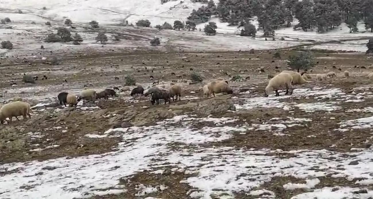 Kar yağışına yaylada yakalandı, koyunlarına türkü söyleyerek duygusal anlar yaşattı