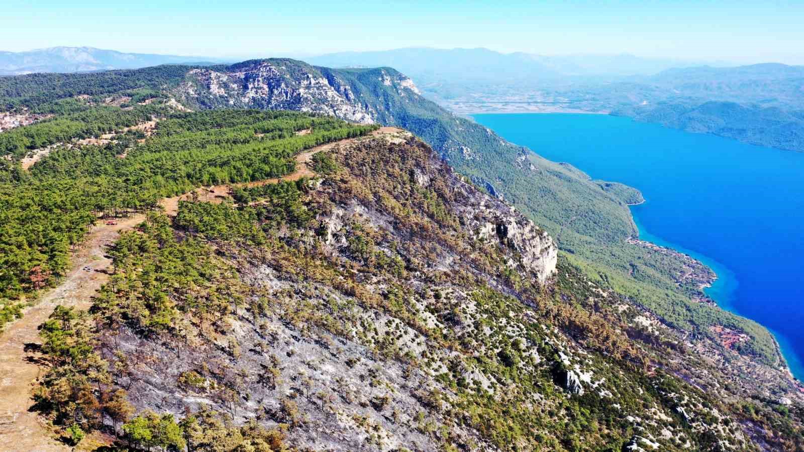 Gökova’da alevlerin önünü kesmek için 6,5 kilometre yangın şeridi açıldı