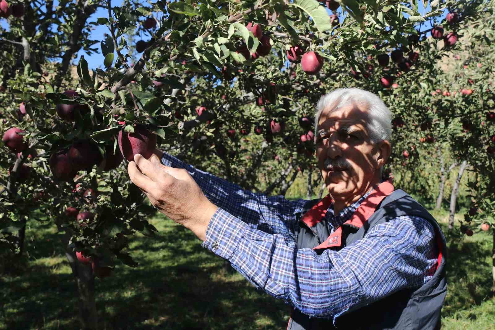 Meyveciliği hobiden ticarete dönüştürdü