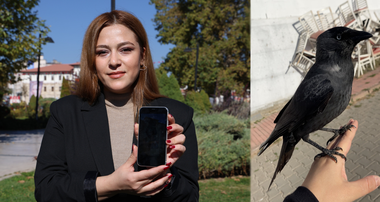 Evcil kuş gibi gelip eline kondu, izleyenler hayret etti