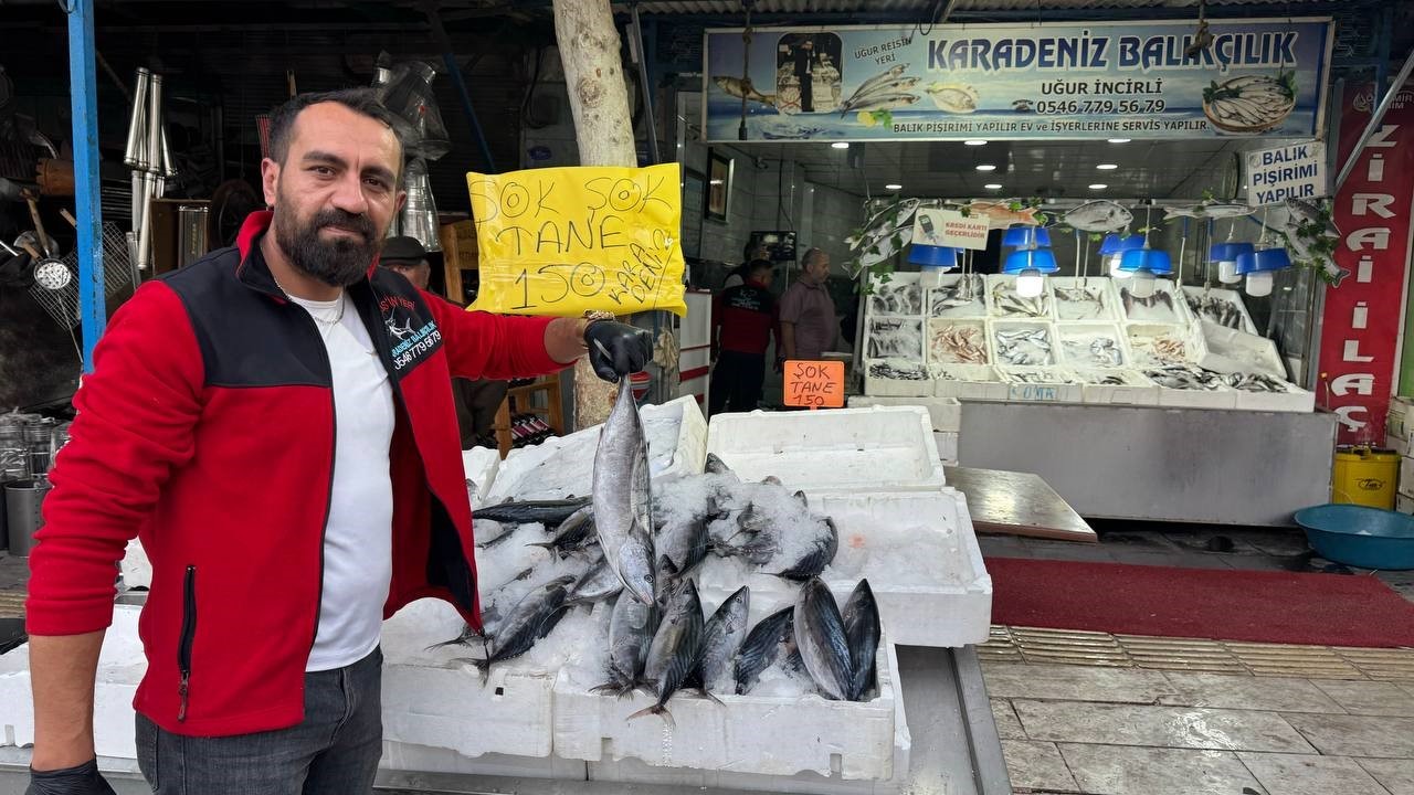 Kilis’te havaların serinlemesiyle balık satışları arttı