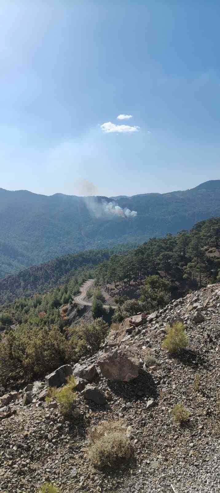 Köyceğiz’de orman yangını