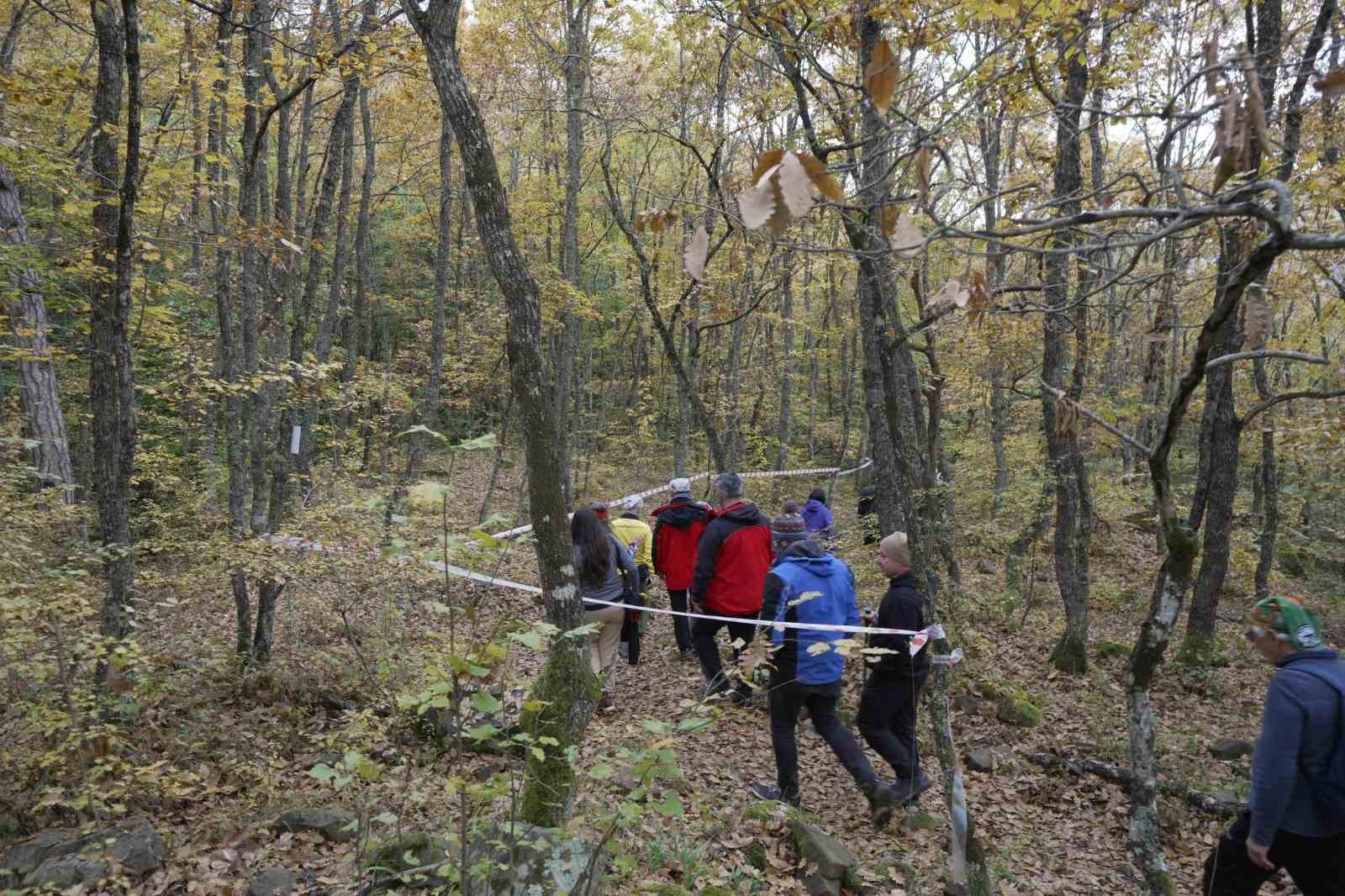 Yenice ormanlarında tepki çeken çevre kirliliği