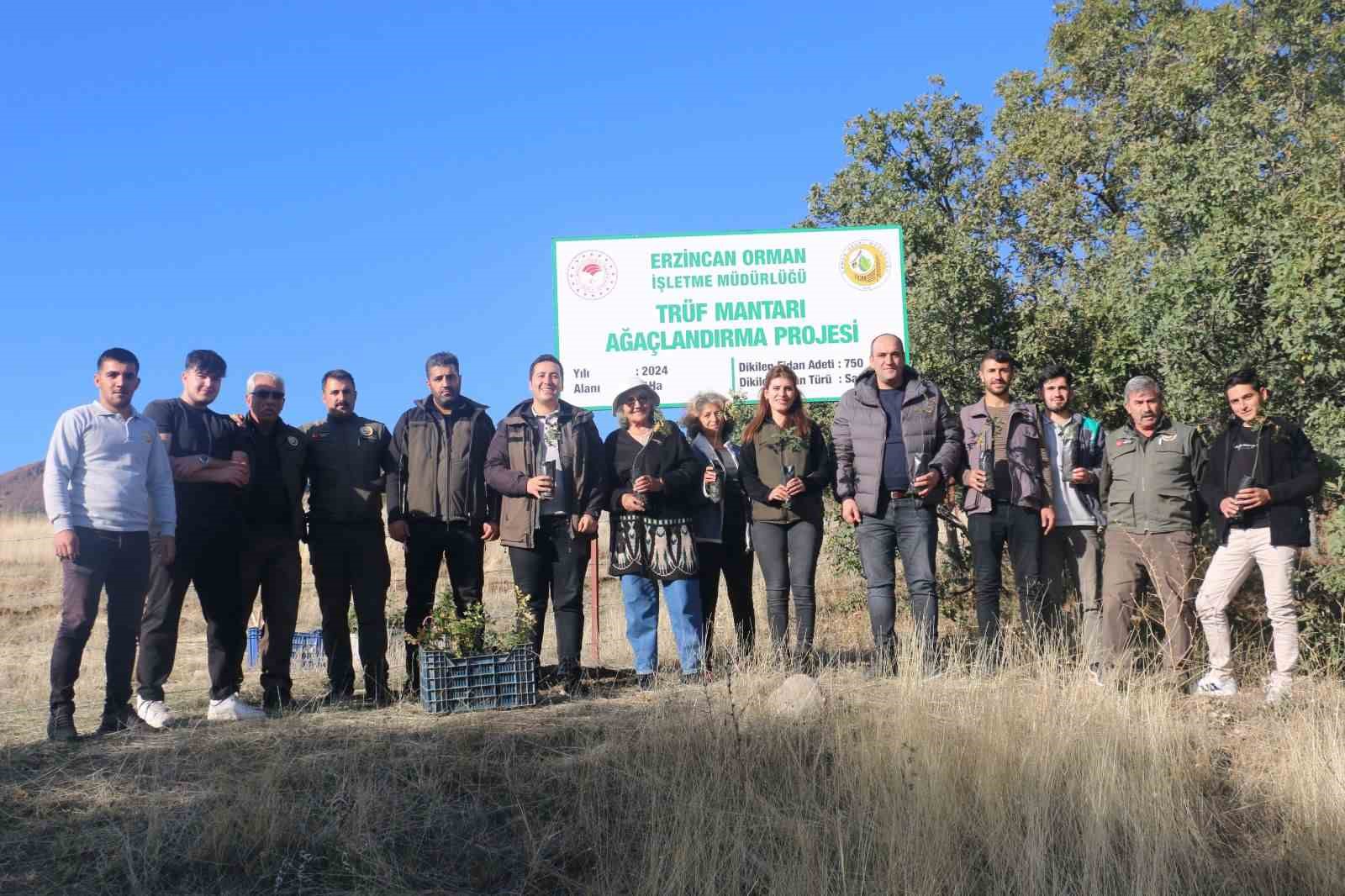 Erzincan’da ilk defa trüf mantarı ormanı oluşturuldu