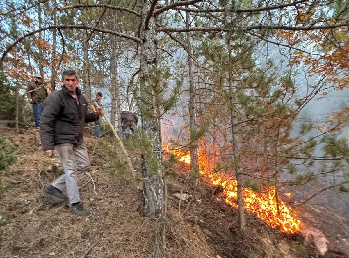 Simav ve Hisarcık’ta orman yangınları