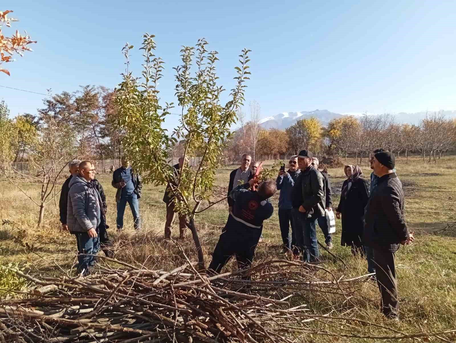 Erzincan’da teorik ve pratik budama eğitimleri başlatıldı