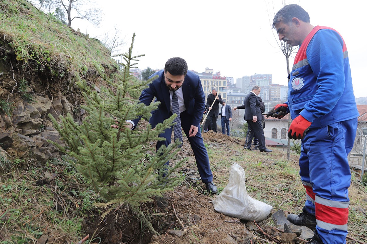 Kağıthane’de yeşil gelecek: Her bebek bir ağaçla büyüyor