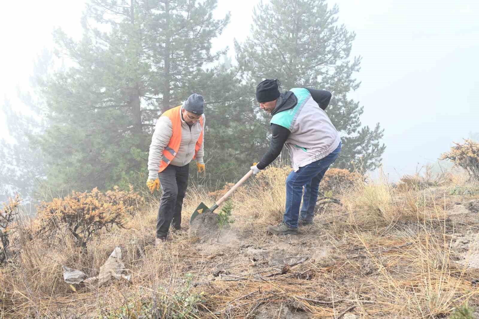 Isparta Belediyesi Gölcük Tabiat Parkı’nda fidanlar toprakla buluşturuldu