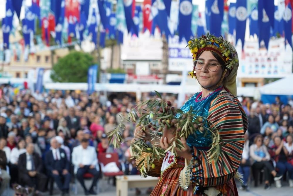 Milas’ta zeytin hasat şenliği için geri sayım başladı