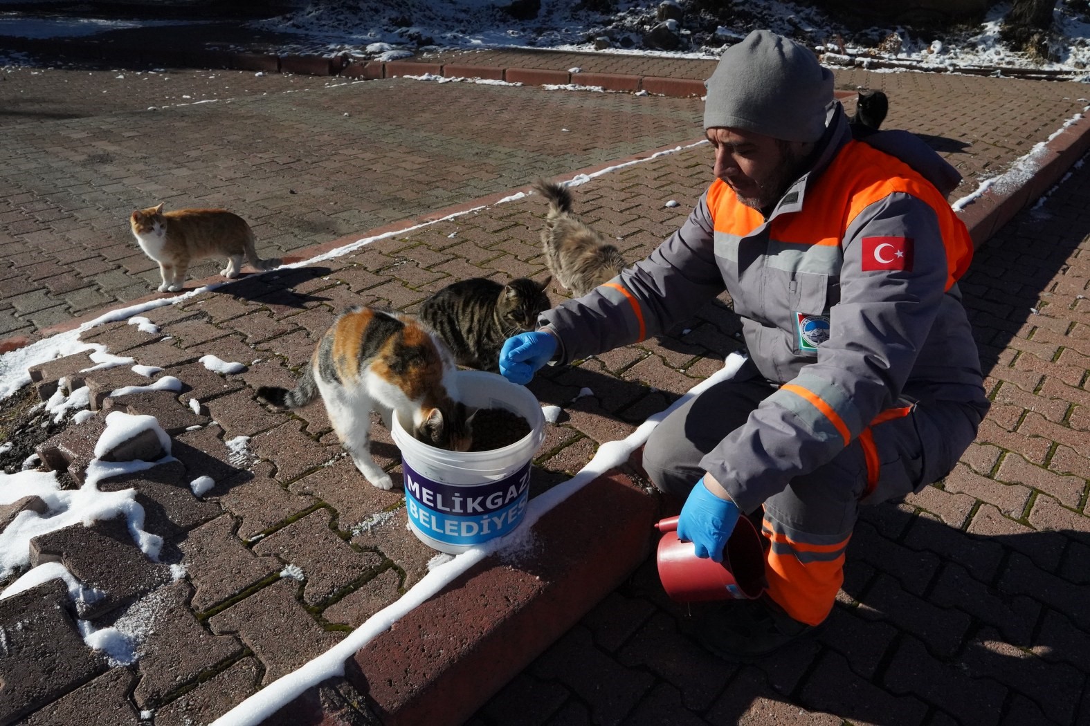 Melikgazi Belediyesi kar yağışı sonrası sokak hayvanlarını unutmadı