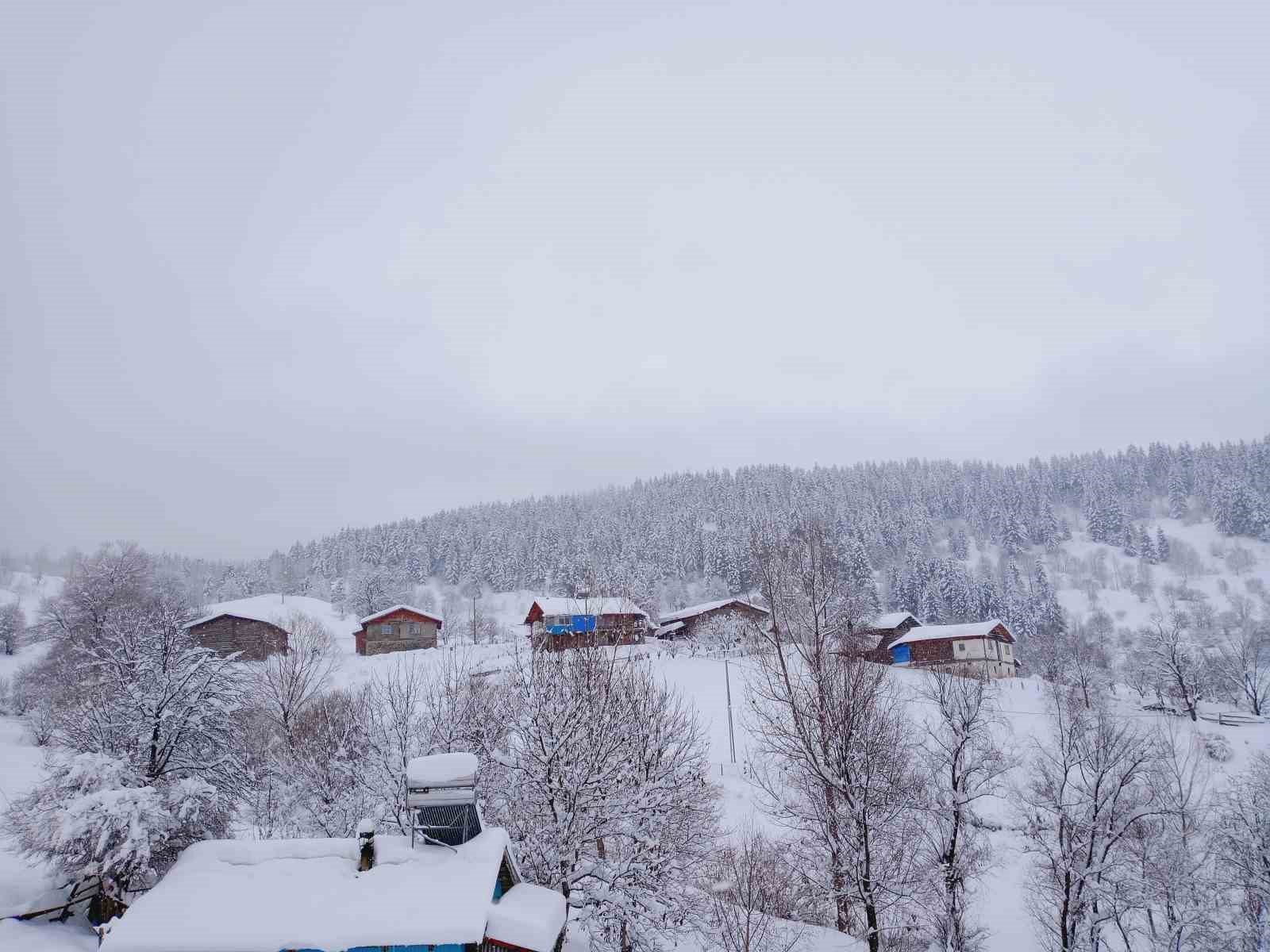 Artvin’de kar kalınlığının 1 metreyi bulduğu köyde gece gündüz çatı temizleniyor