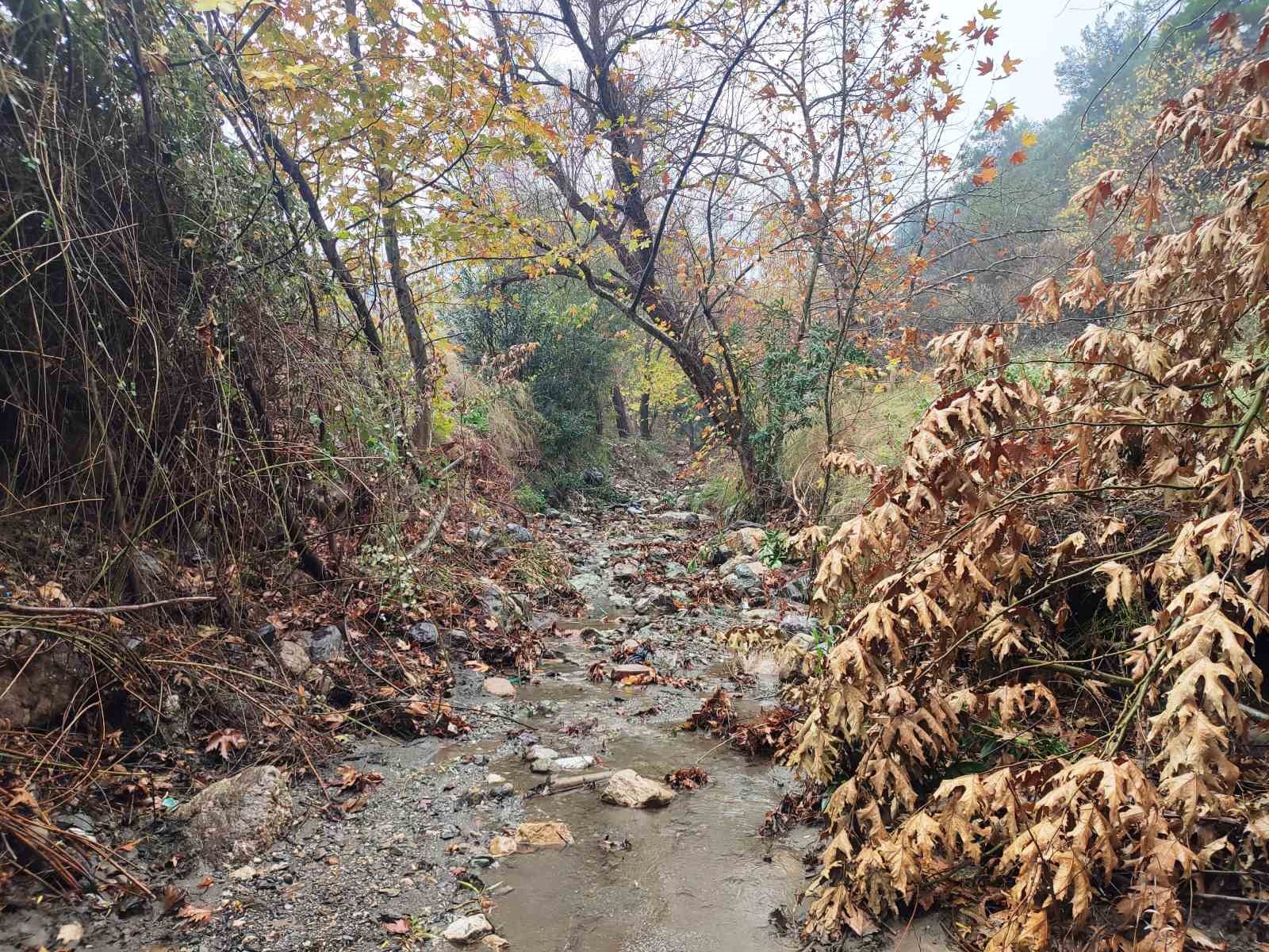 Mesir Tabiat Parkında eşsiz manzaralar