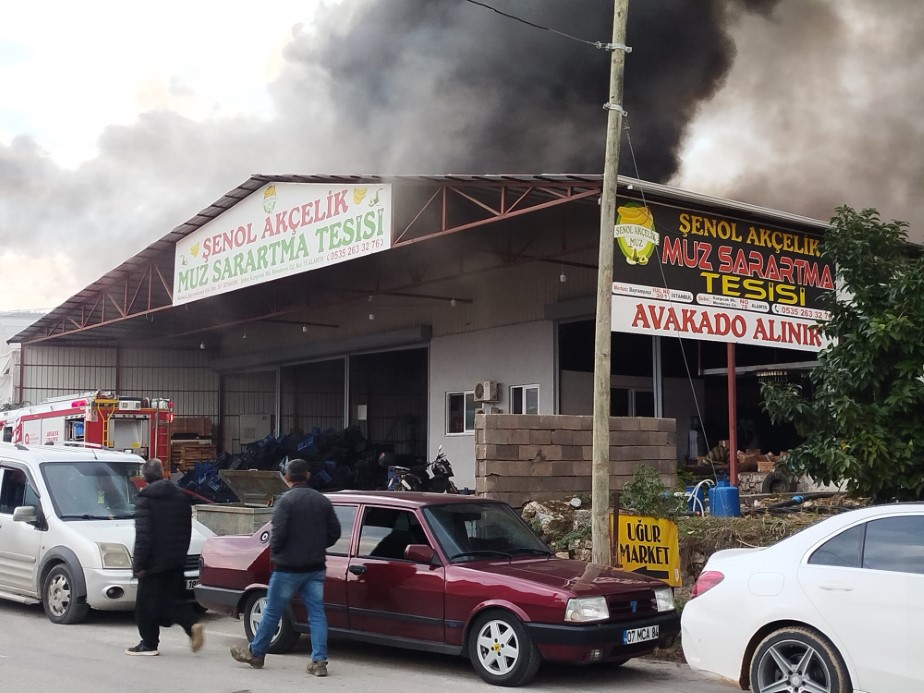 Alanya'da korkutan yangın: Mobilya deposu yandı, alevler seralara sıçradı