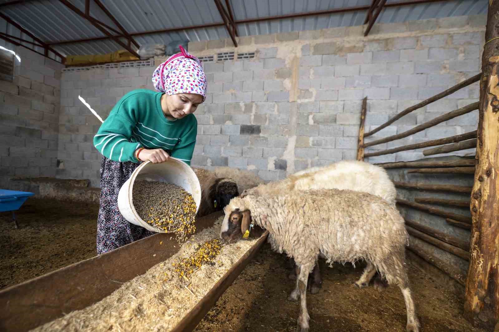 ’Hadi Gel Köyümüze Geri Dönelim’ projesi bir genci deha üretime kazandırdı