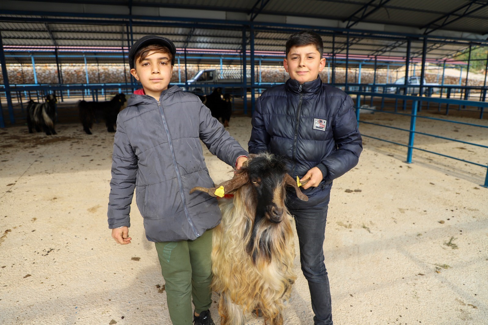 Alanya kurban pazarı açıldı