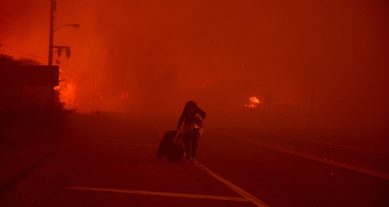 California'da orman yangını!