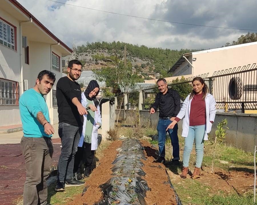 Mersin’de ’Hayalimdeki Bahçe’ etkinliği düzenlendi