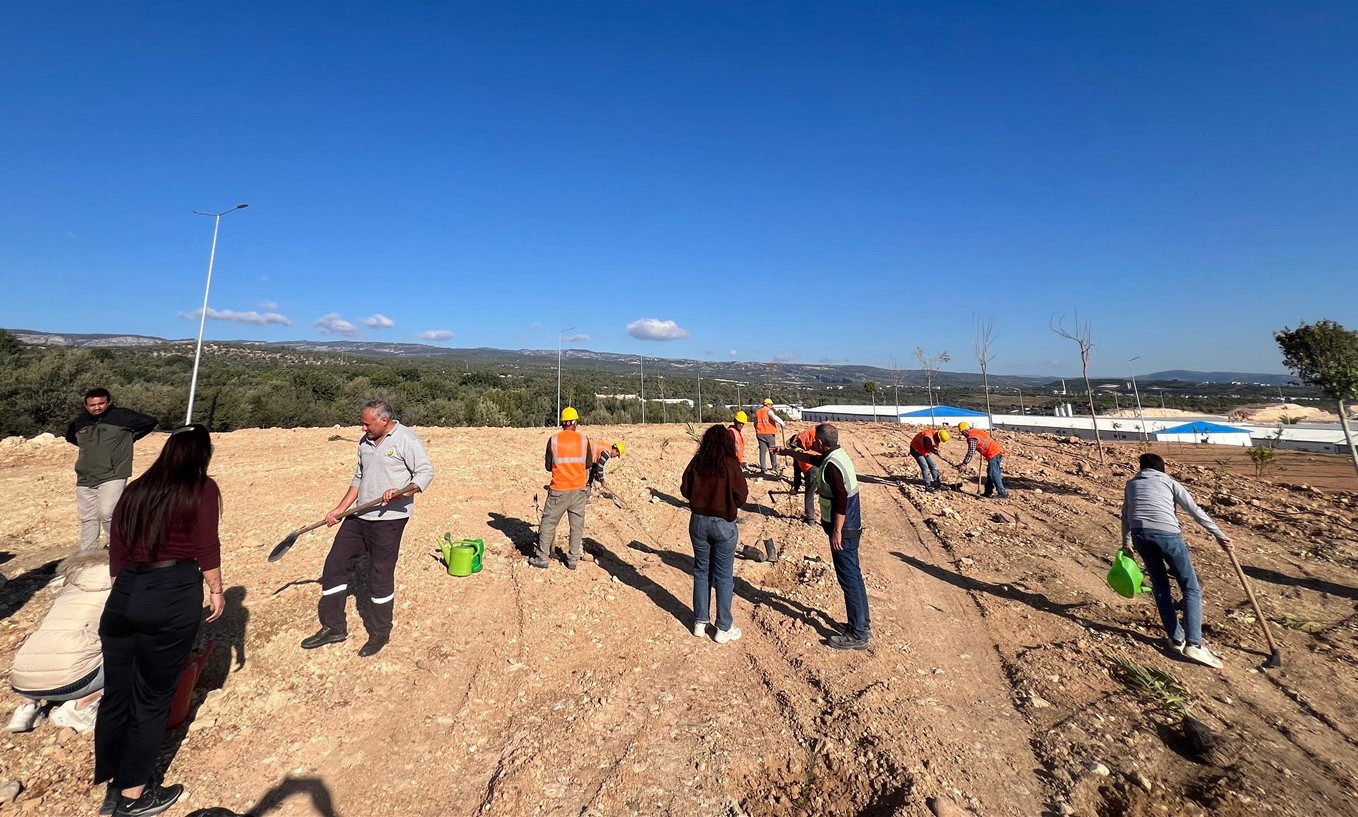 Mersin’de otoban yol kenarları ağaçlandırılıyor