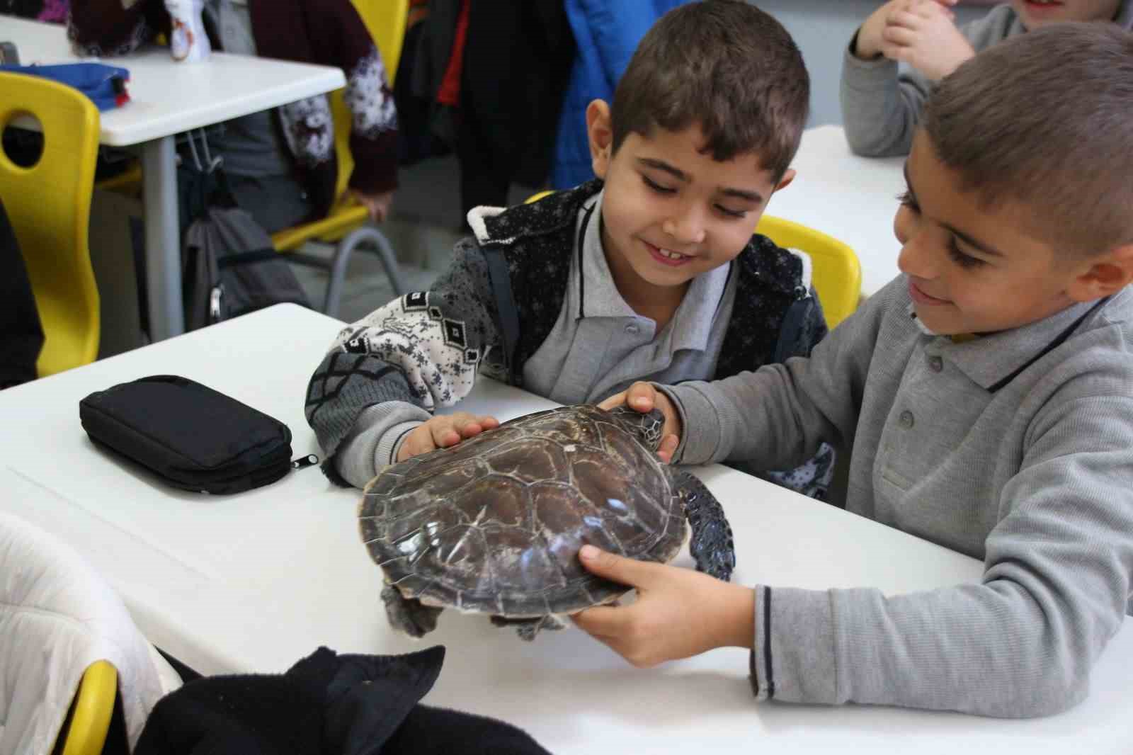 Çocuklar deniz canlılarını öğreniyor