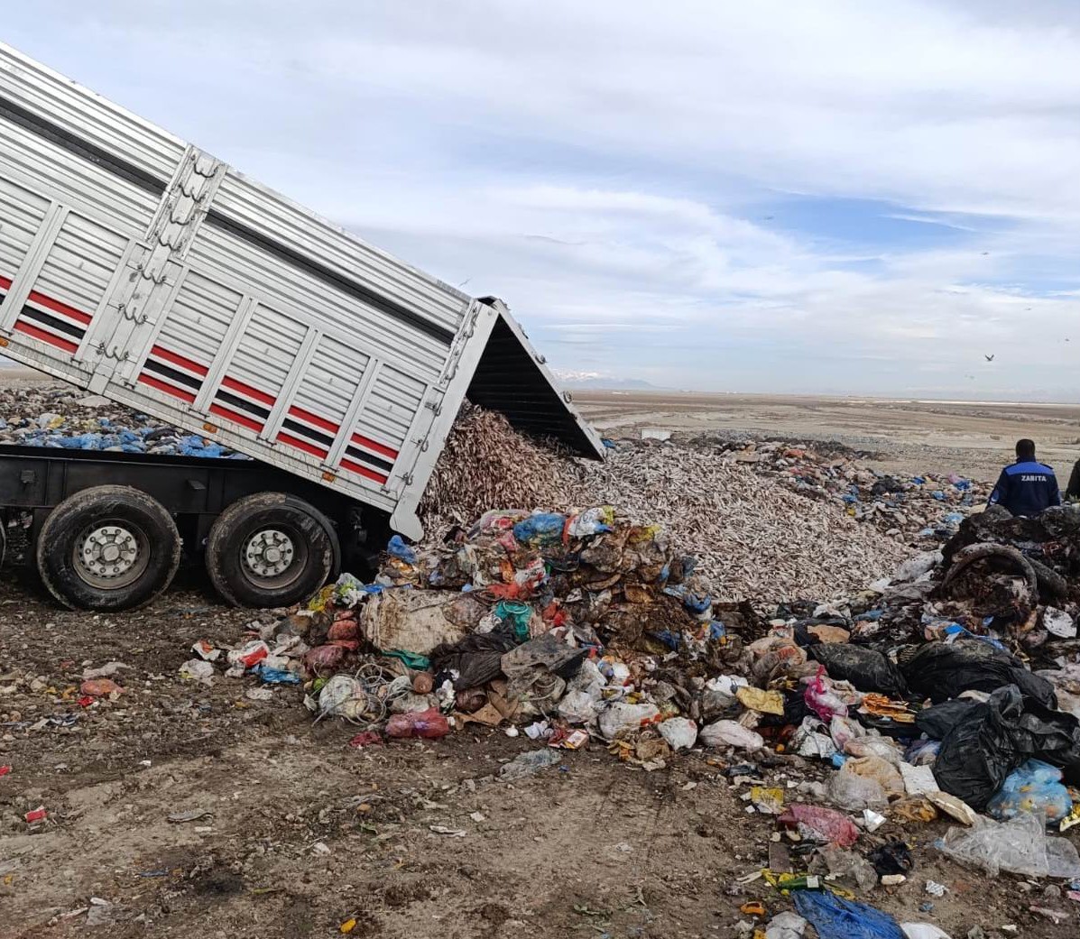 Konya’da tır dolusu kokmuş balık yakalandı